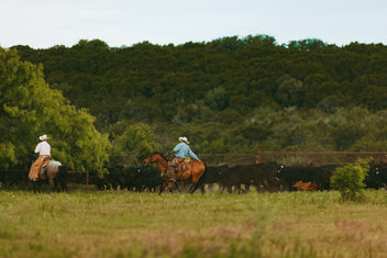 Ranch Outfitters